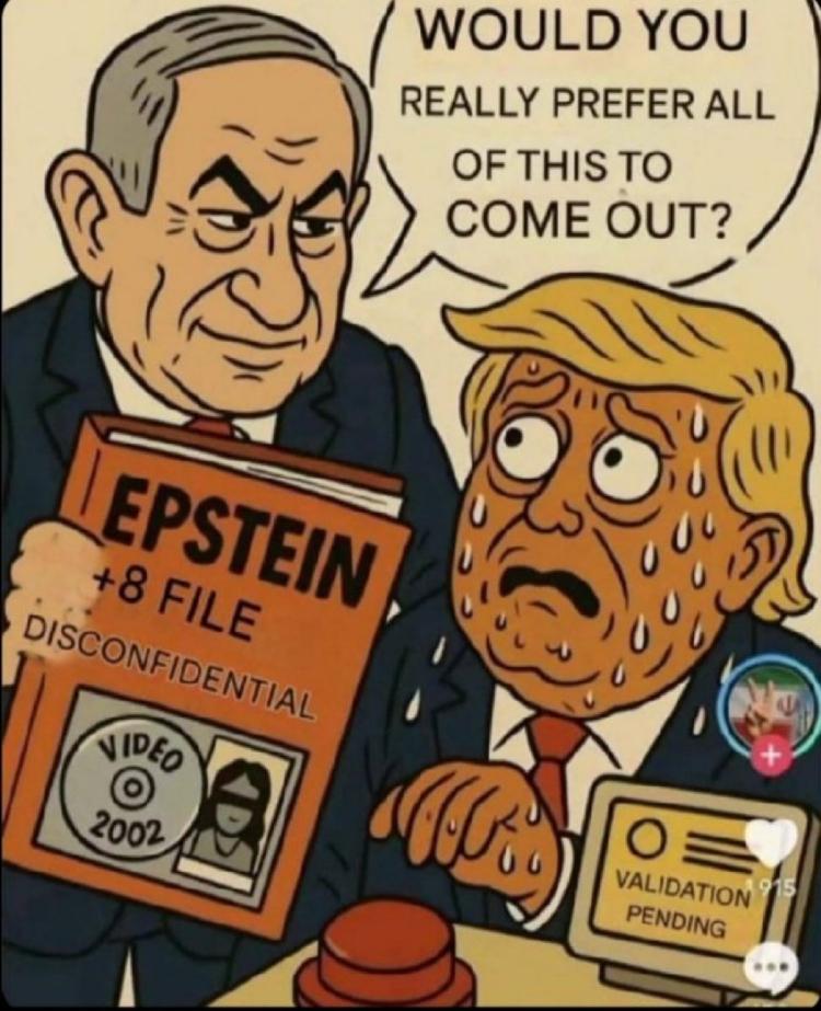 araz♡Արազ tweet media