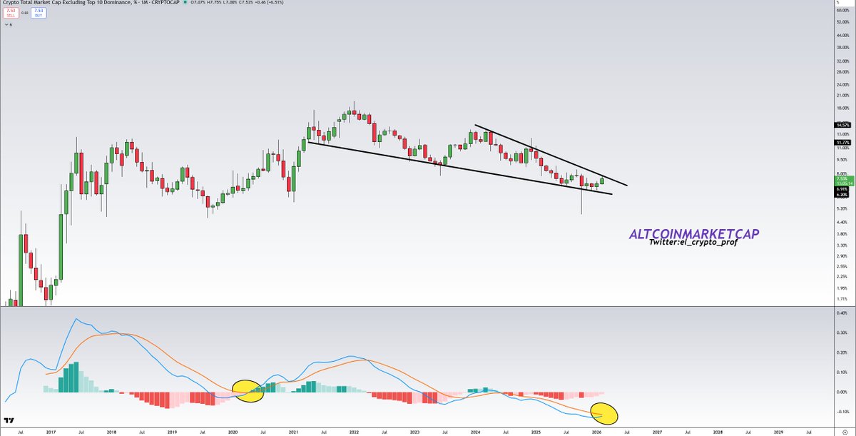 𝕄𝕠𝕦𝕤𝕥𝕒𝕔ⓗ𝕖 🧲 tweet media