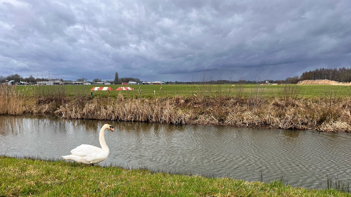 William Huizinga tweet media