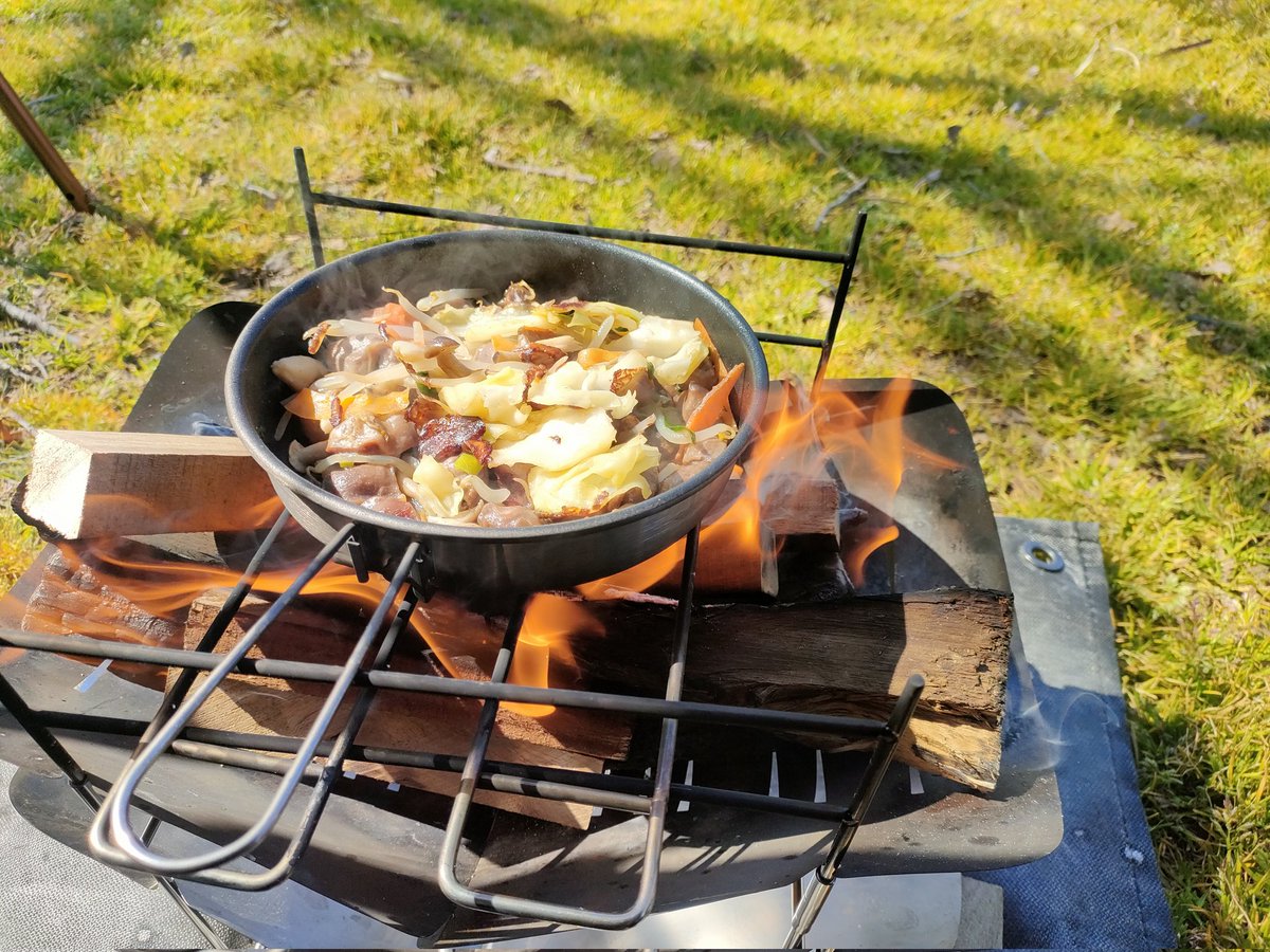 まあまあ、とりめしと砂肝野菜炒めでもどうぞ🐤