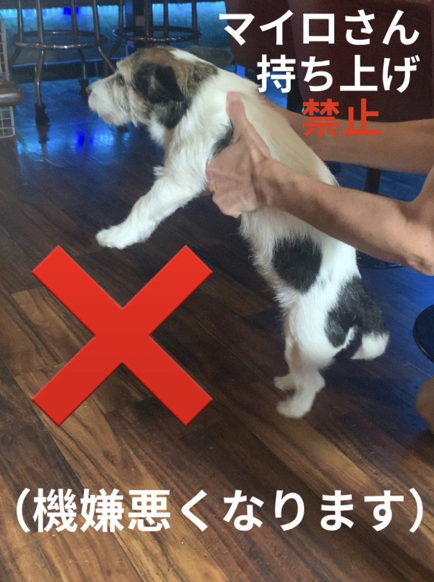 🌐CORIOLIS 🌐スタッフ募集 tweet media