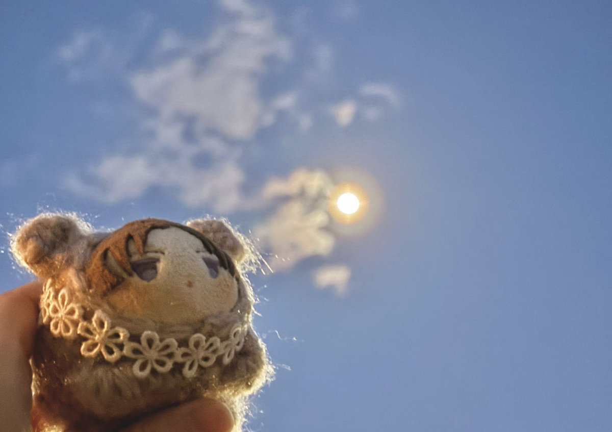 Post by おもち️️️ on X: 🌕