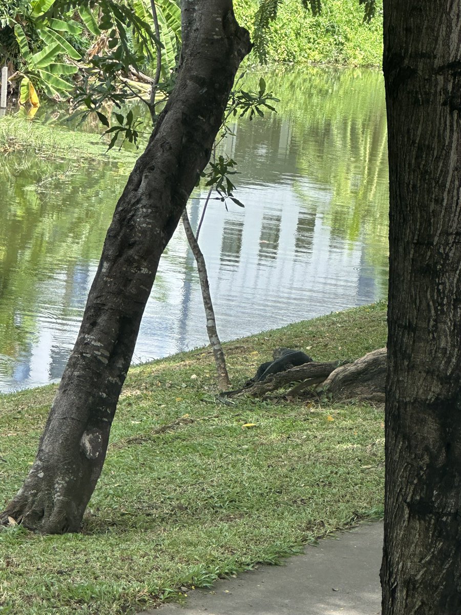 𝒿mind ♡ྀི ༚ tweet media