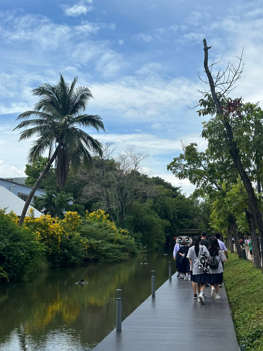 𝒿mind ♡ྀི ༚ tweet media