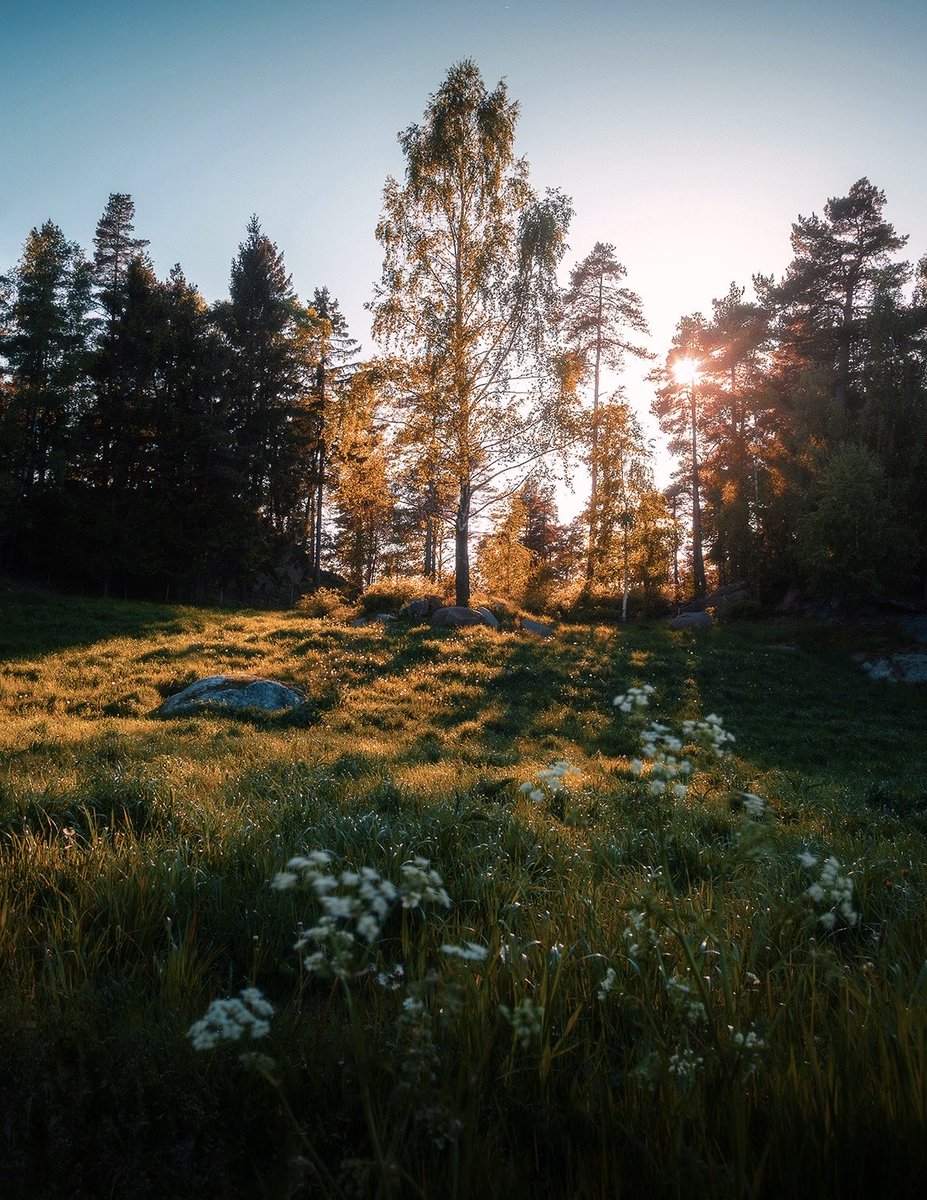 Ole Haugland tweet media