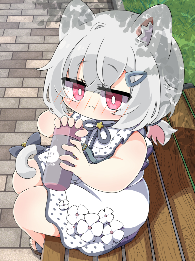 どこでも猫カフェ…いかがですか? 