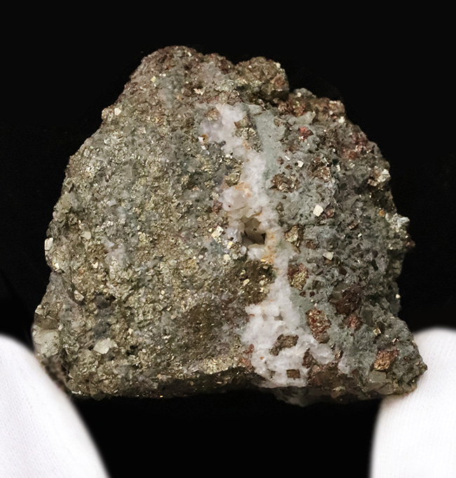 化石・鉱物・隕石販売の化石セブン (@kaseki7) / Posts / X