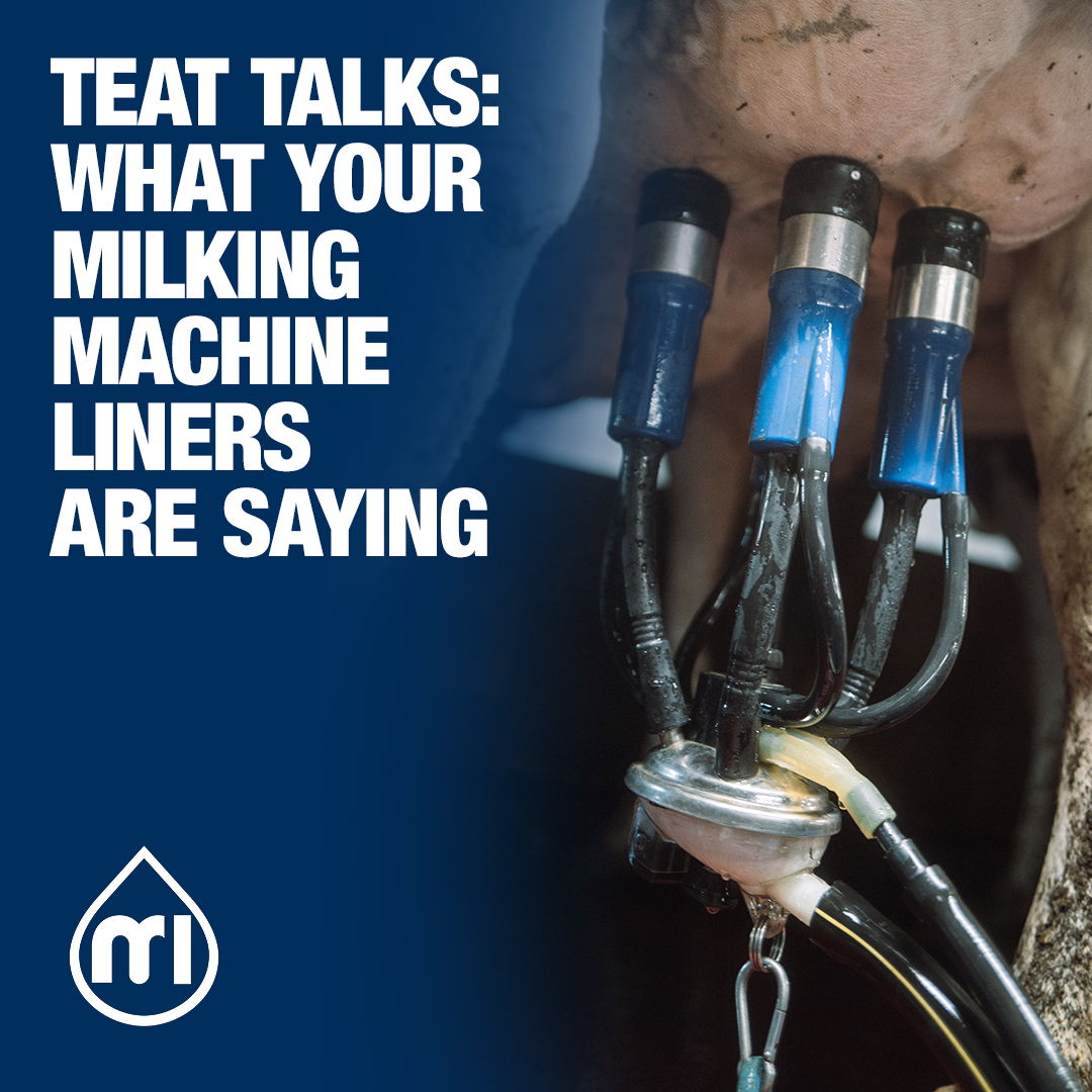 Joao, our VP Commercial EMEA-APAC &amp; CX Expert, breaks down the key indicators that show whether your cows are being milked correctly, or if something needs to change. 

Read or listen to our new article now: bit.ly/40jKkMR
