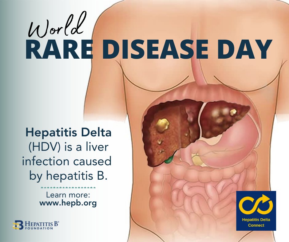 Hepatitis Delta Connect tweet media