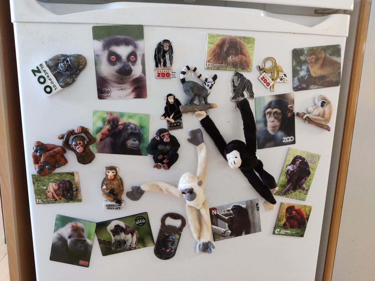 matty #GO_APE tweet media