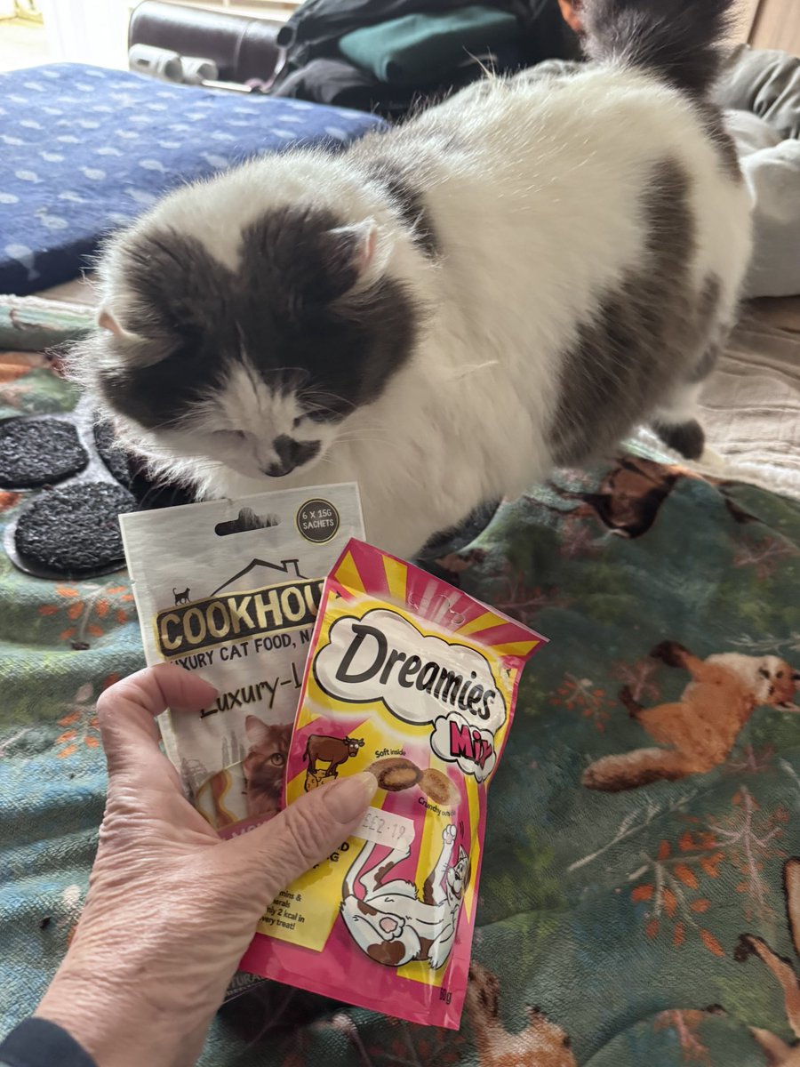 SpanielsSuper's tweet image. We got mail #SoExciting 
Just for us 👍…….
 Oh &amp;amp; the cats too 🫩 #Sigh 

Lots &amp;amp; lots of delicious treats from our friend @RiffRAF18 
&amp;amp; a very special little extra for mum #ThankYouSoMuch 

How very kind of you 
#UnexpectedTreats #LovelySurprise