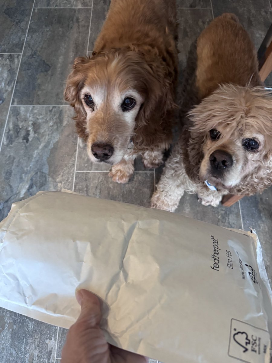 SpanielsSuper's tweet image. We got mail #SoExciting 
Just for us 👍…….
 Oh &amp;amp; the cats too 🫩 #Sigh 

Lots &amp;amp; lots of delicious treats from our friend @RiffRAF18 
&amp;amp; a very special little extra for mum #ThankYouSoMuch 

How very kind of you 
#UnexpectedTreats #LovelySurprise