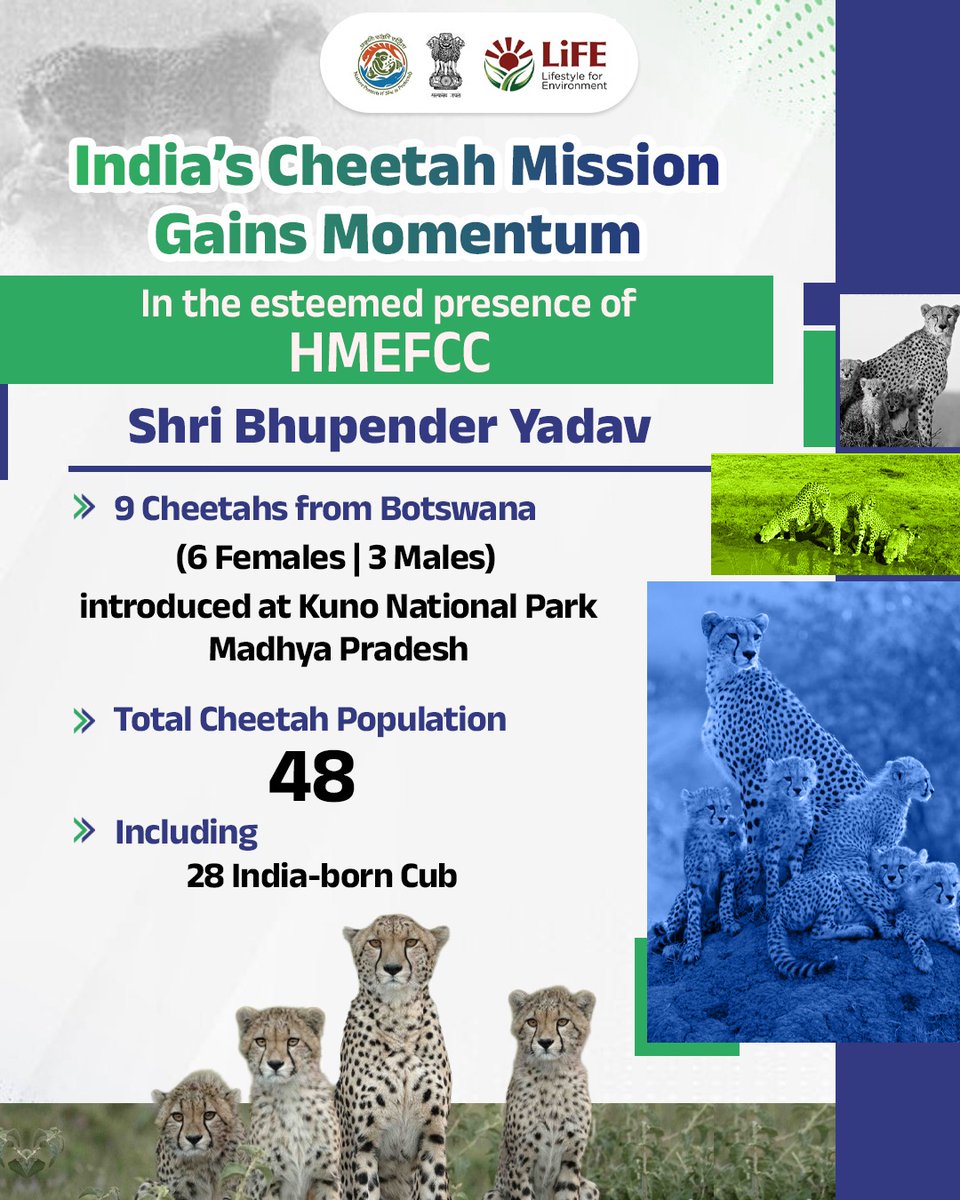 moefcc's tweet photo. Strengthening India’s Cheetah Population

In the presence of HMEFCC Shri @byadavbjp, Nine cheetahs from Botswana (6 females and 3 males) have been successfully introduced to Kuno National Park, Madhya Pradesh.

#ProjectCheetah

1/2 https://t.co/JT9sLwfmIe