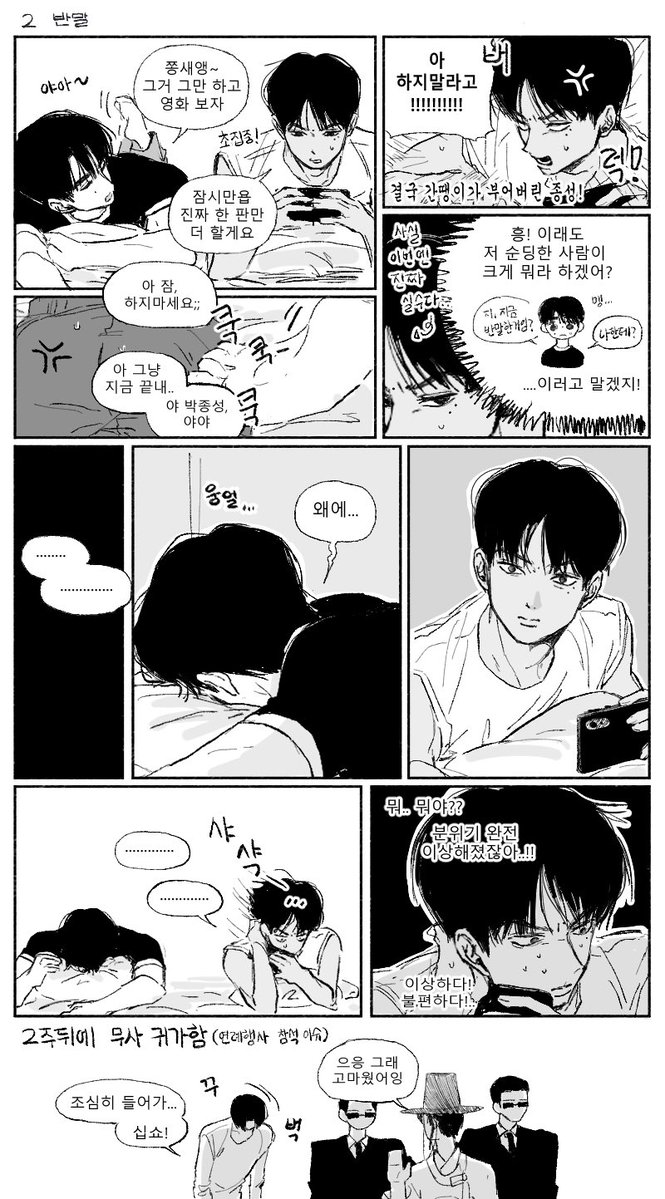 따따하오 tweet media