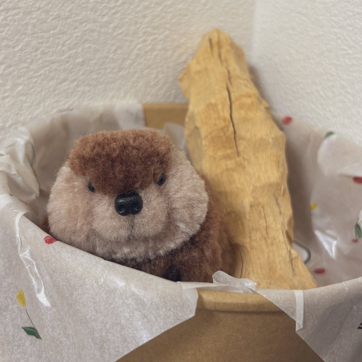 ぽんぽんビーバー🦫可愛すぎる 羽村の木と一緒にうちで過ごしてもらい