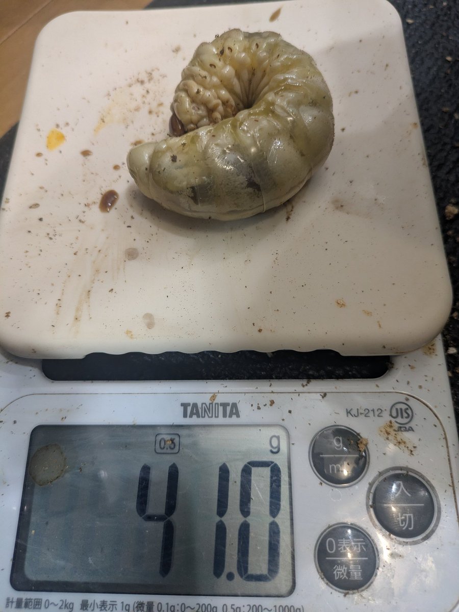 ゼロイチ01 tweet media