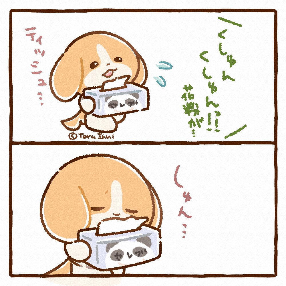 犬のきなこ🐶3/20 arteVarieホ60 (@bokukinakodayo) / Posts / X