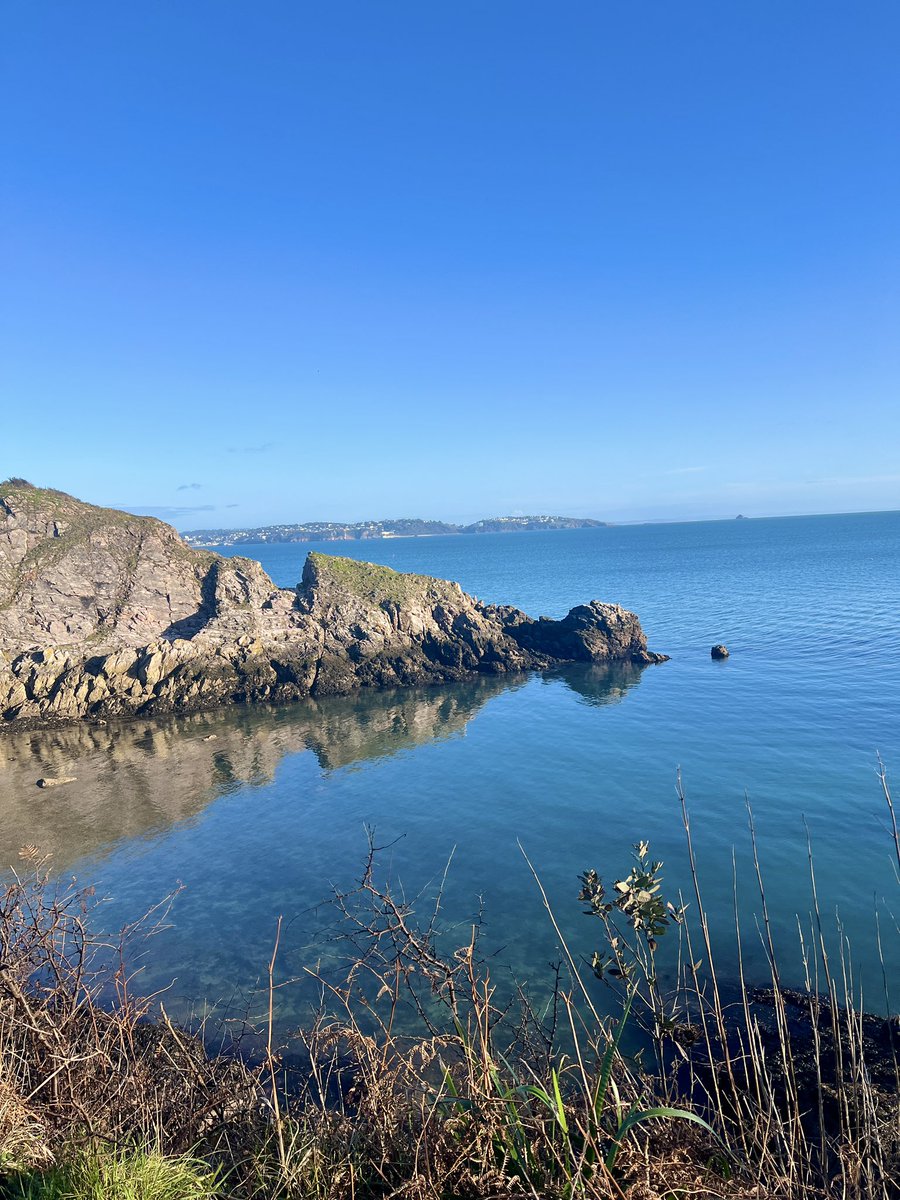 Me&ThePlasticSea tweet media