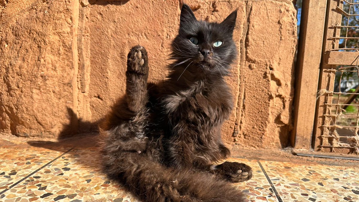 Please share our appeal with your friends and ask them to share also.
Our nightmares are back 
Our neighbors have started attacking each other since this morning. We hoped that they were just words and verbal threats and that war would never come again, neither to us nor near us.