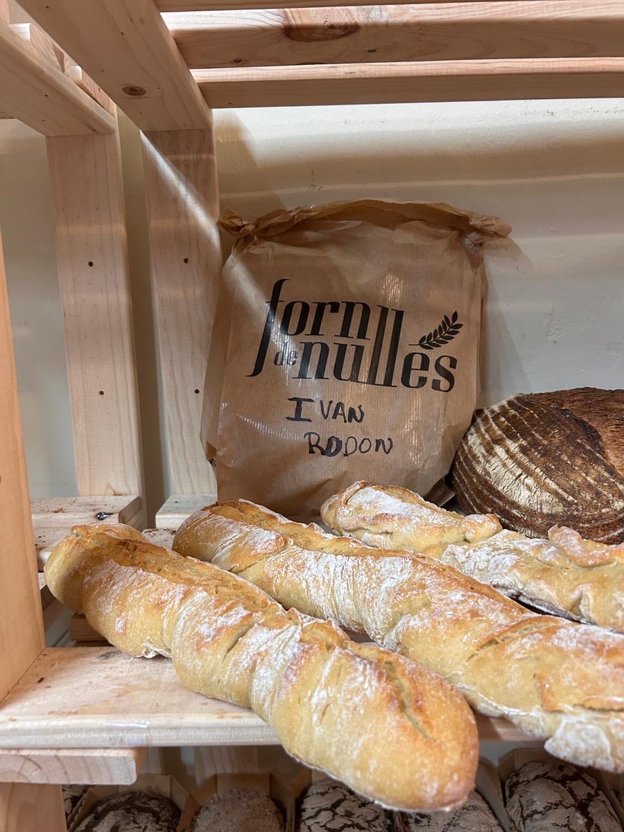 Ivan Rodon Tenas 🎾 tweet media