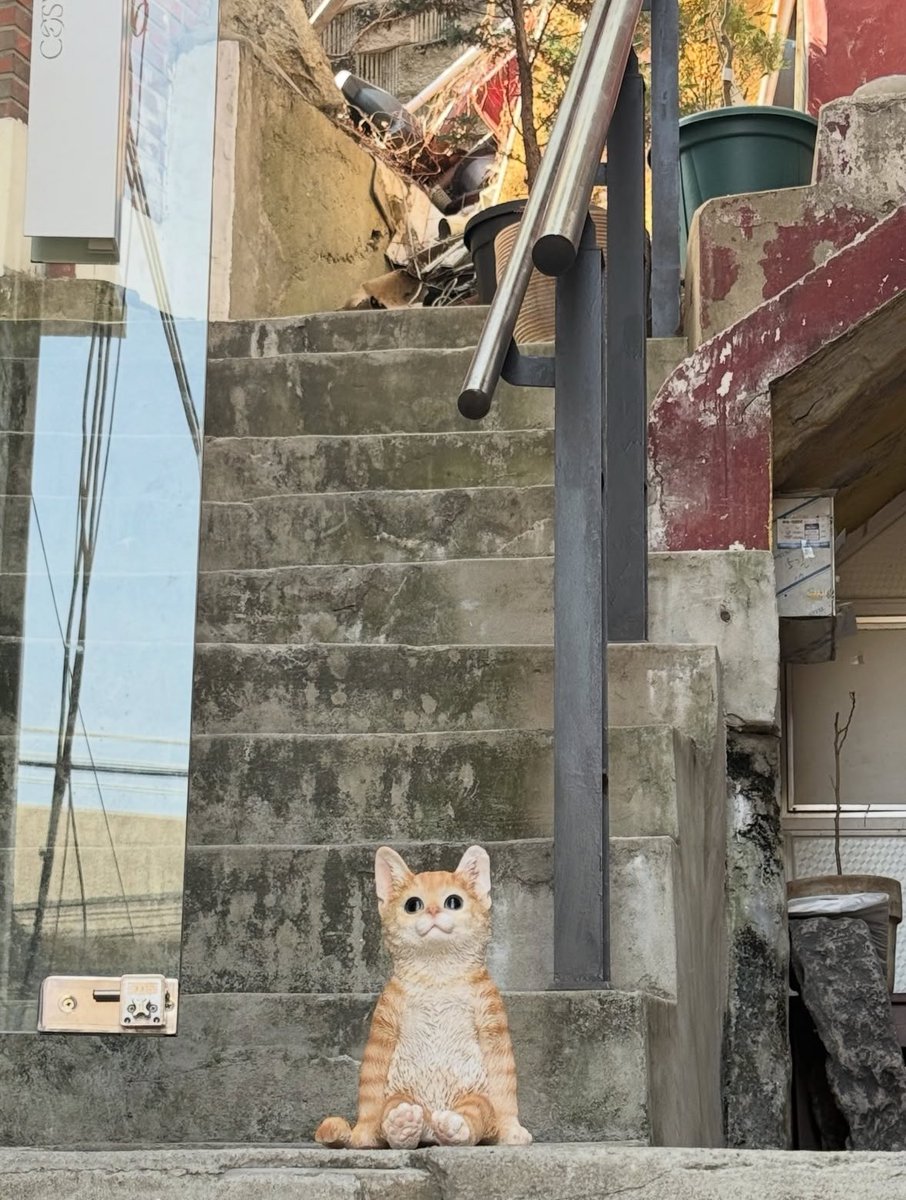 얼죽아는 배신하지 않는ㄷㅏ
🧊🧊🧊🧊🧊🧊🧊🧊🧊💙