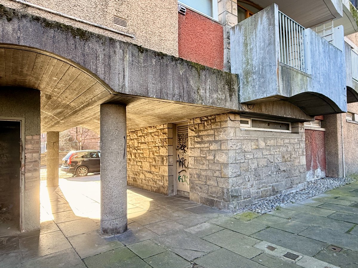 Harry Wilkin$ tweet media