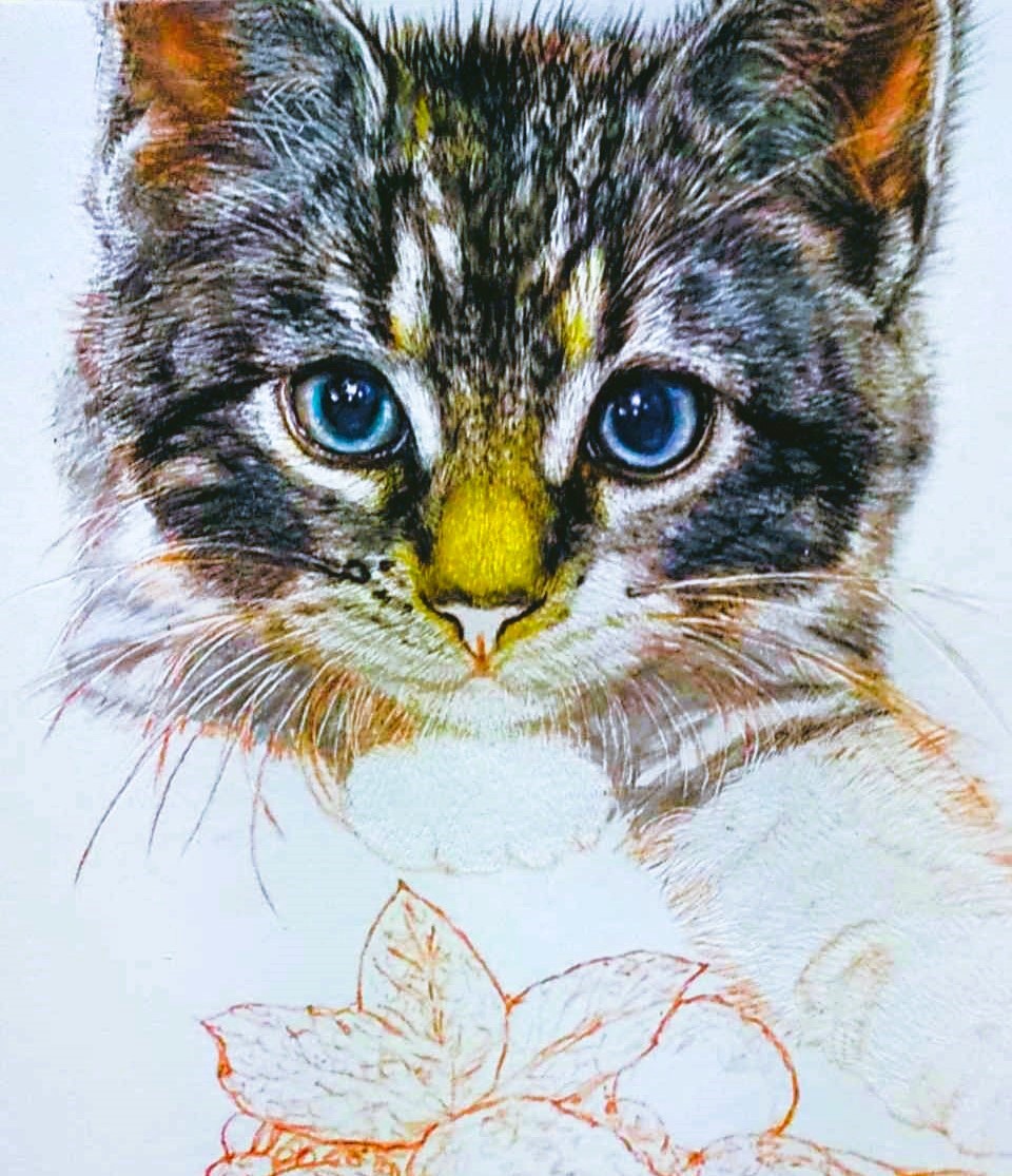 色鉛筆画 もふもふ特等席