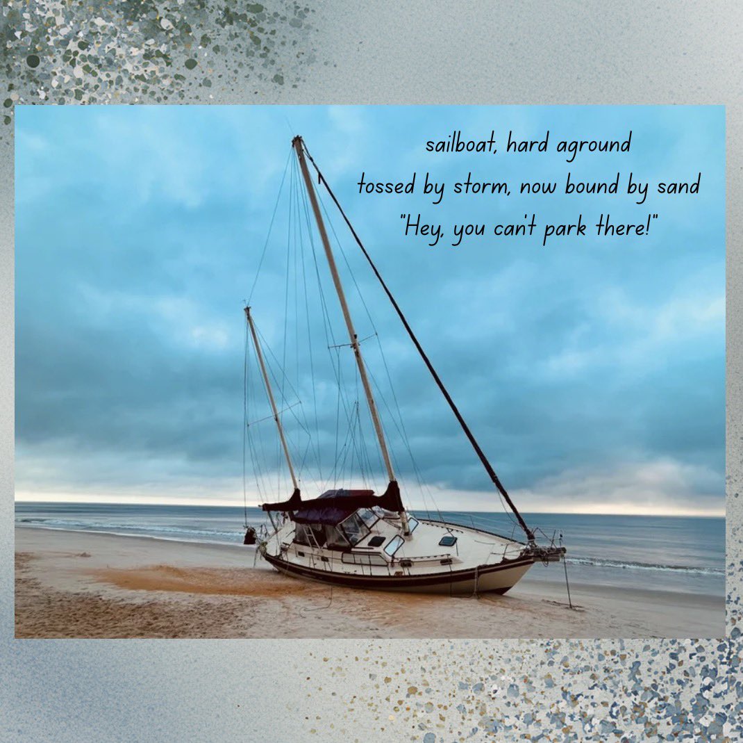 Christopher Knox tweet media