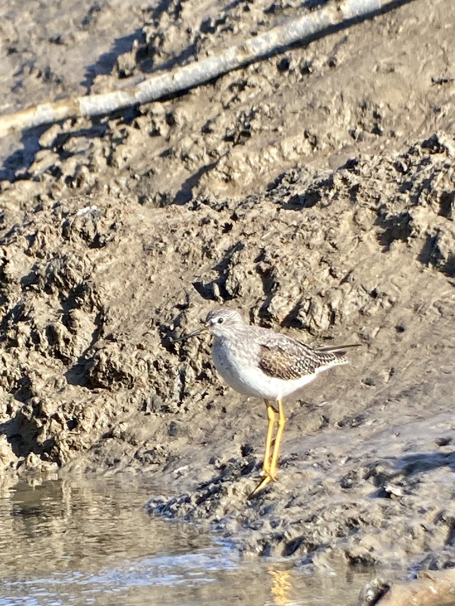 Mark Bailey tweet media