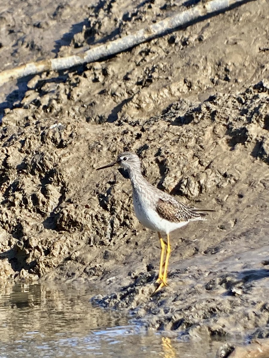 Mark Bailey tweet media