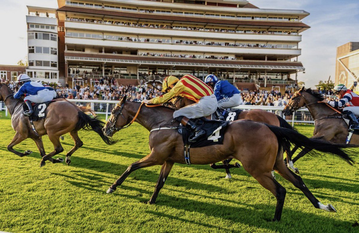 Richardlewisevans tweet media