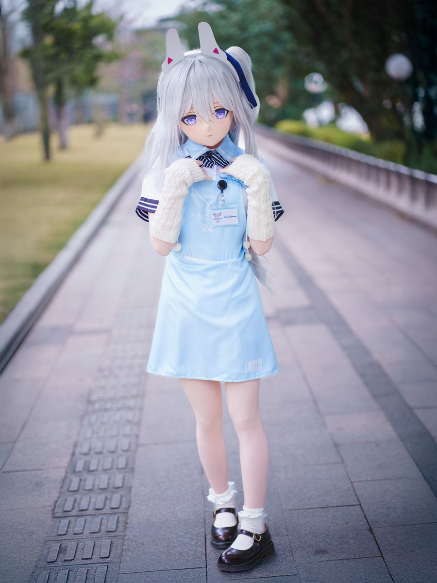 睡不醒的猫 tweet media