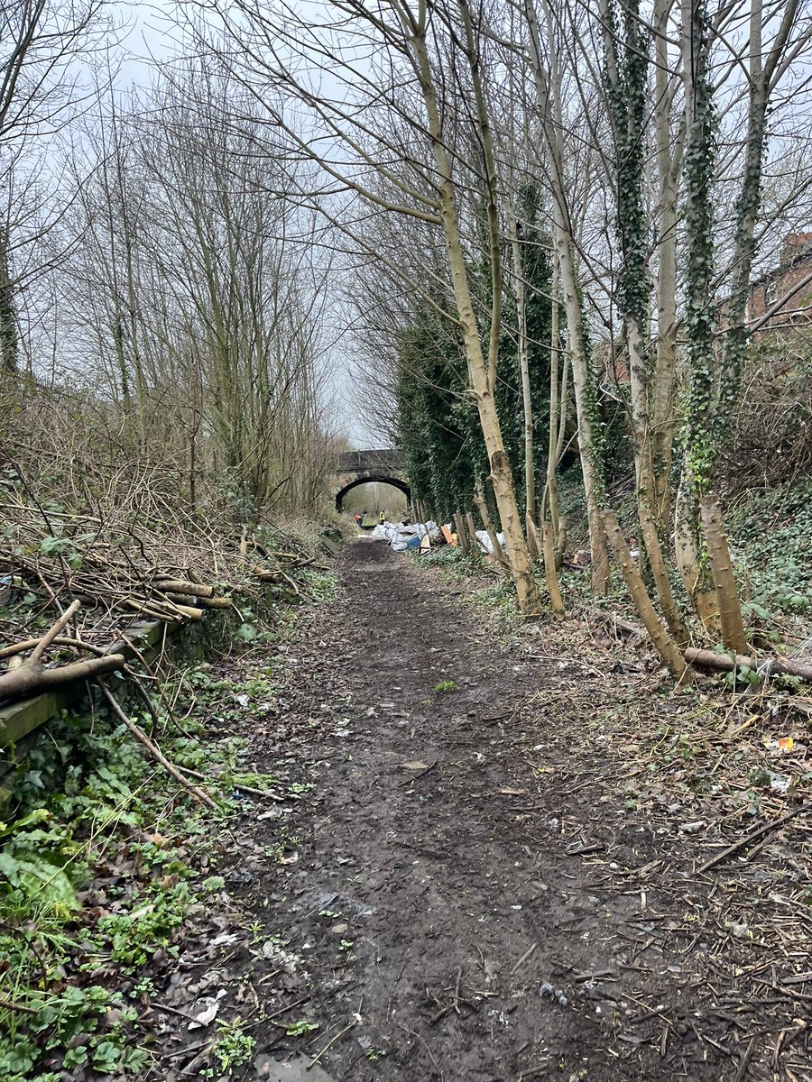 Preston Labour tweet media