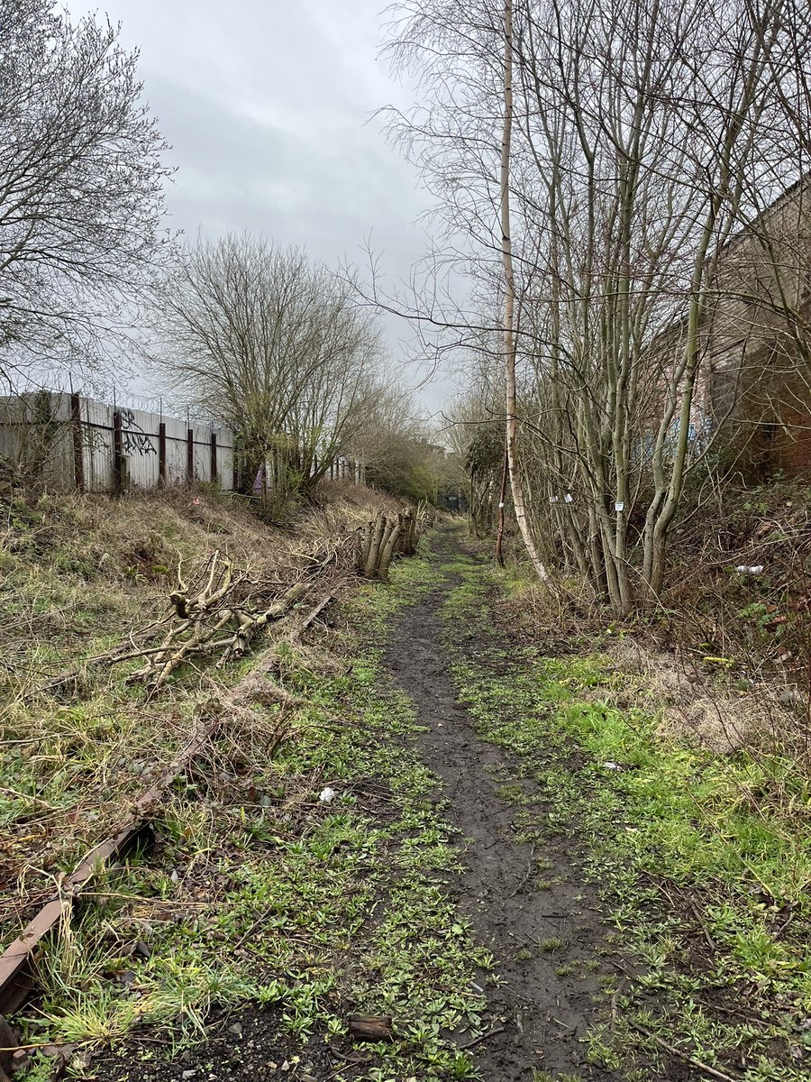 Preston Labour tweet media