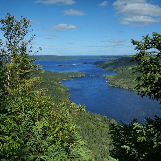 Craig Baird - Canadian History Ehx tweet media