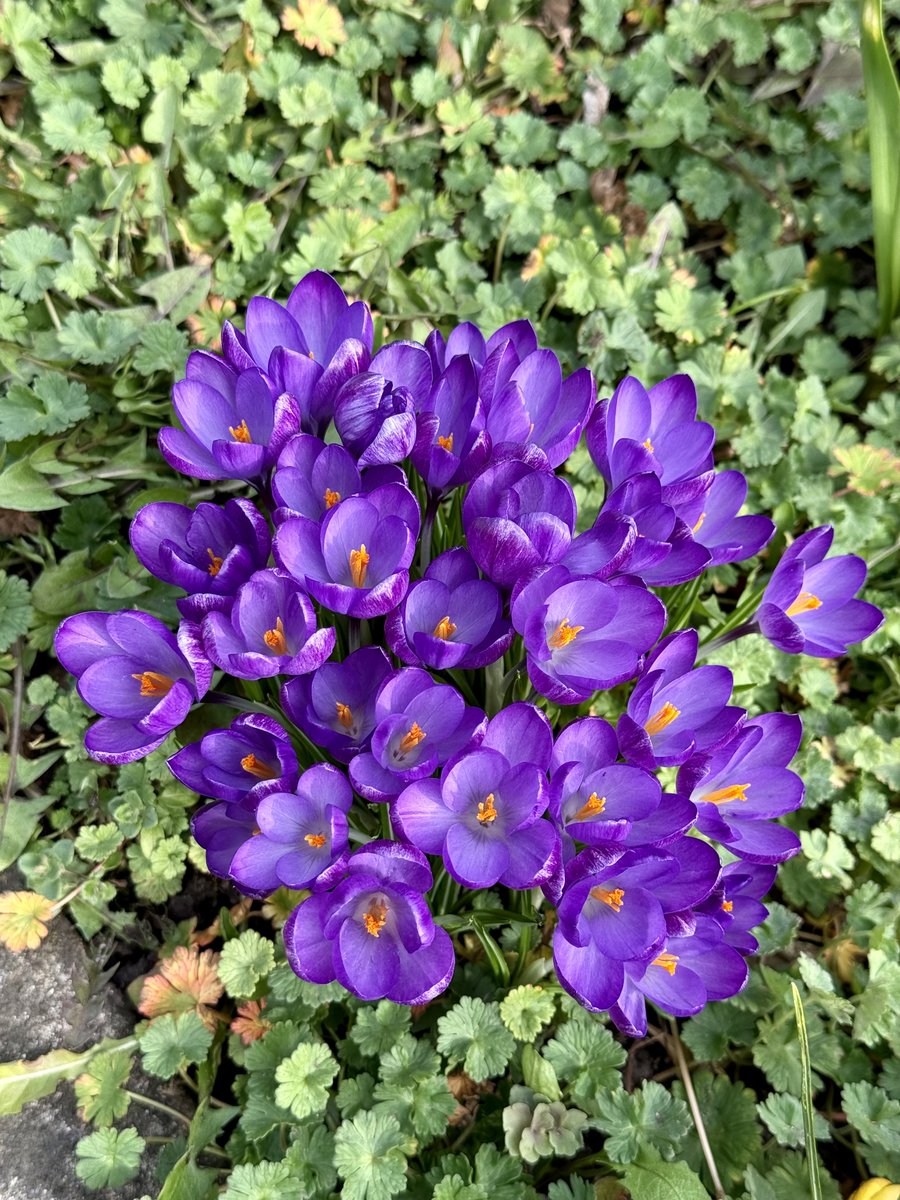 Schönen Nachmittag allerseits 😀☕️😊😎
