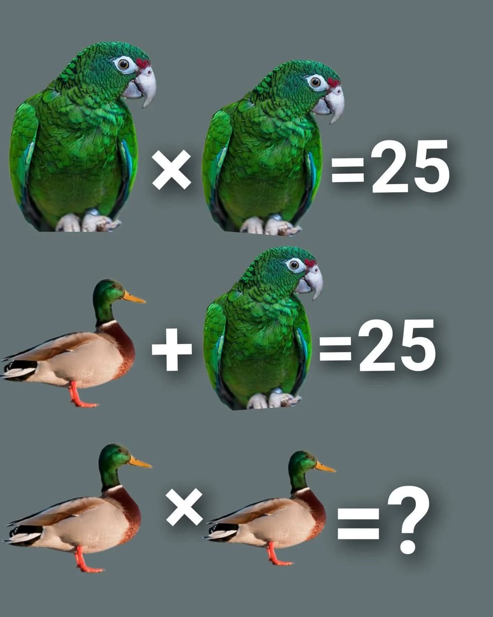 Good Evening ✨

Your brain vs this puzzle.
No calculator.
No editing your answer.
Duck × Duck = ? 👇