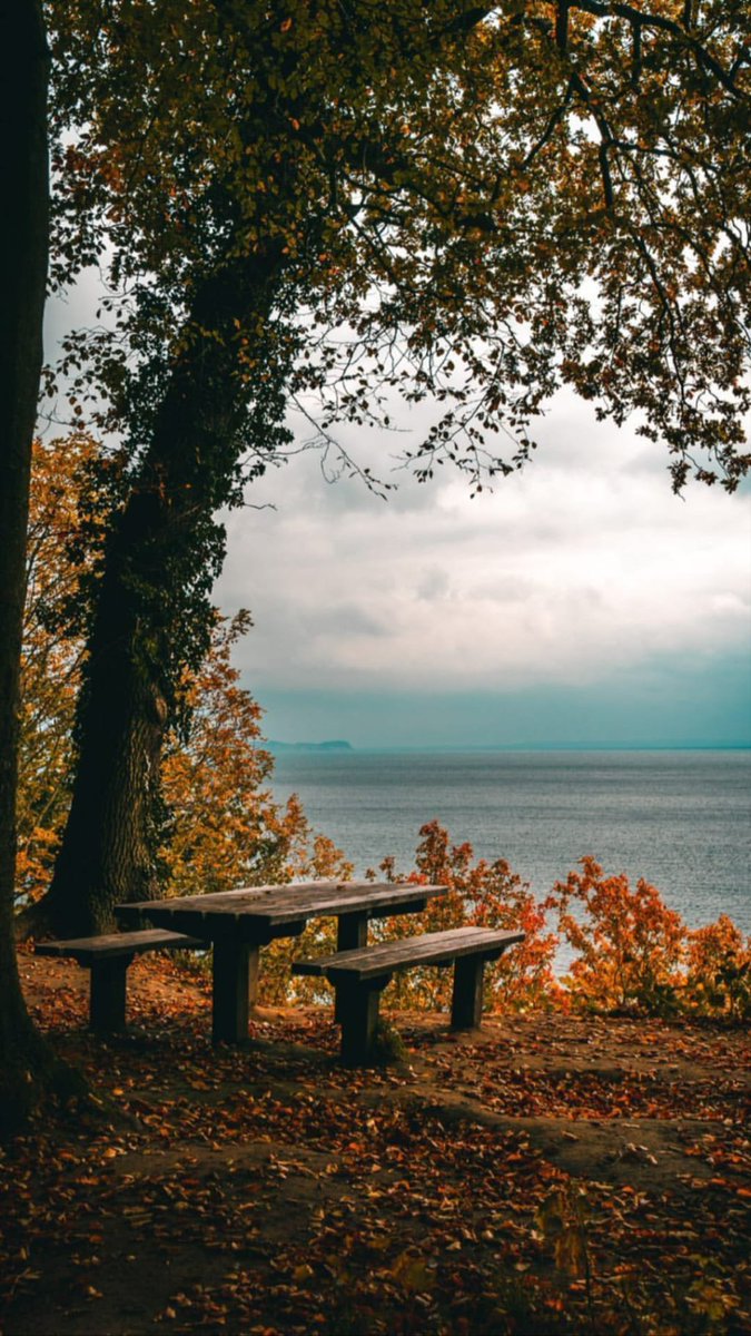 lifesobjective tweet media