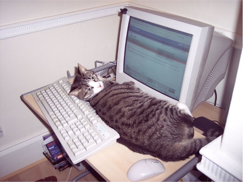 CatMacroz's tweet photo. 2004 https://t.co/HB7XSguSYt