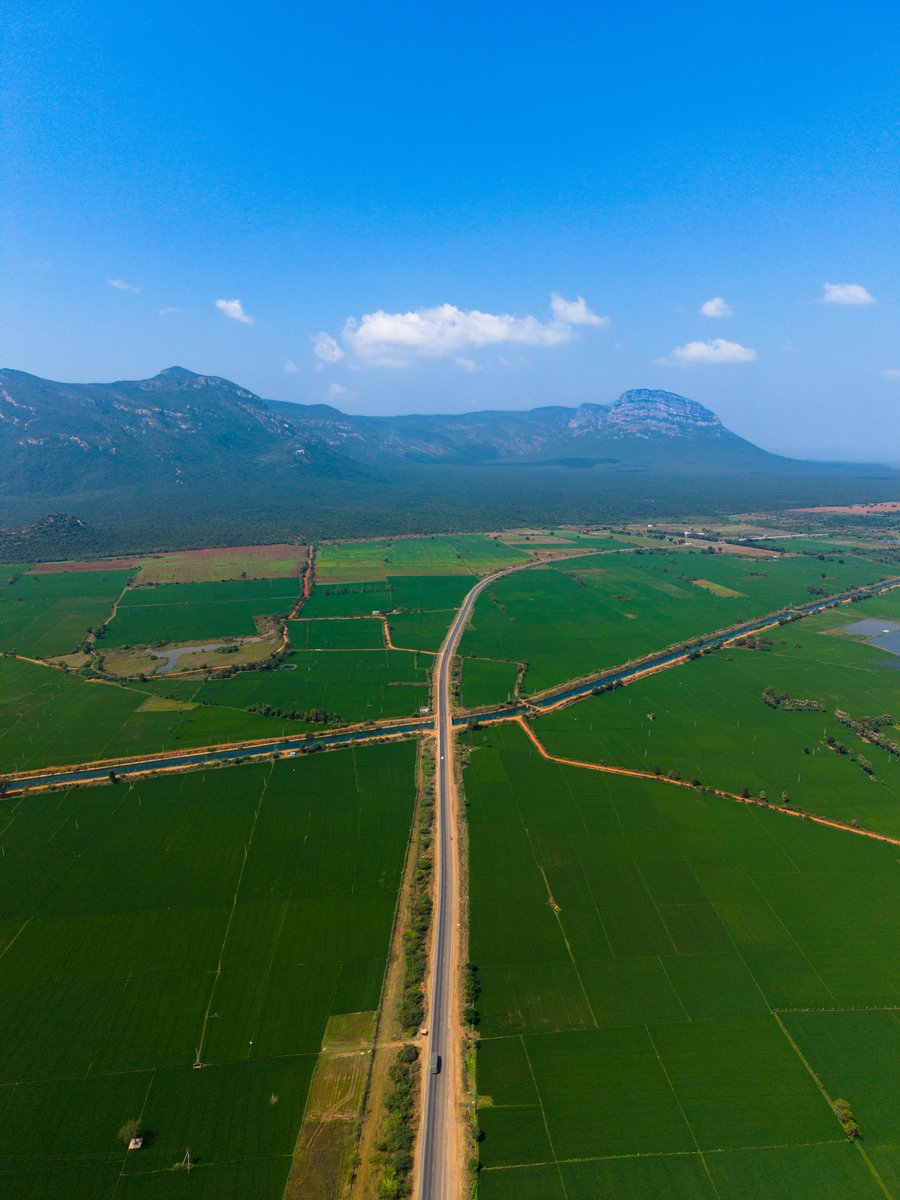 Andhra Nexus tweet media