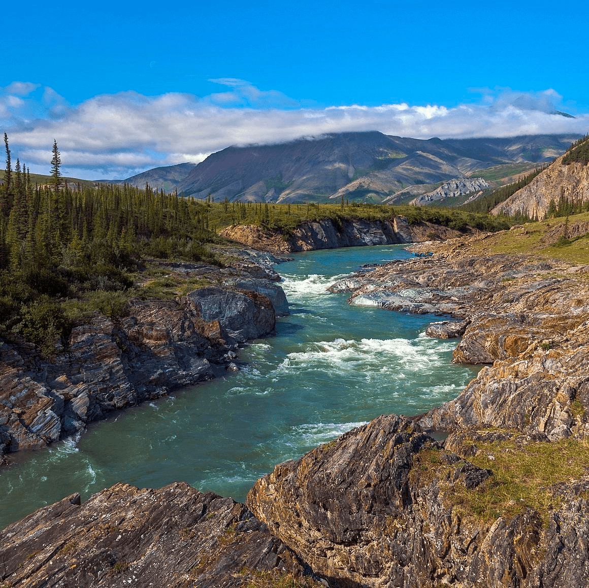 Craig Baird - Canadian History Ehx tweet media