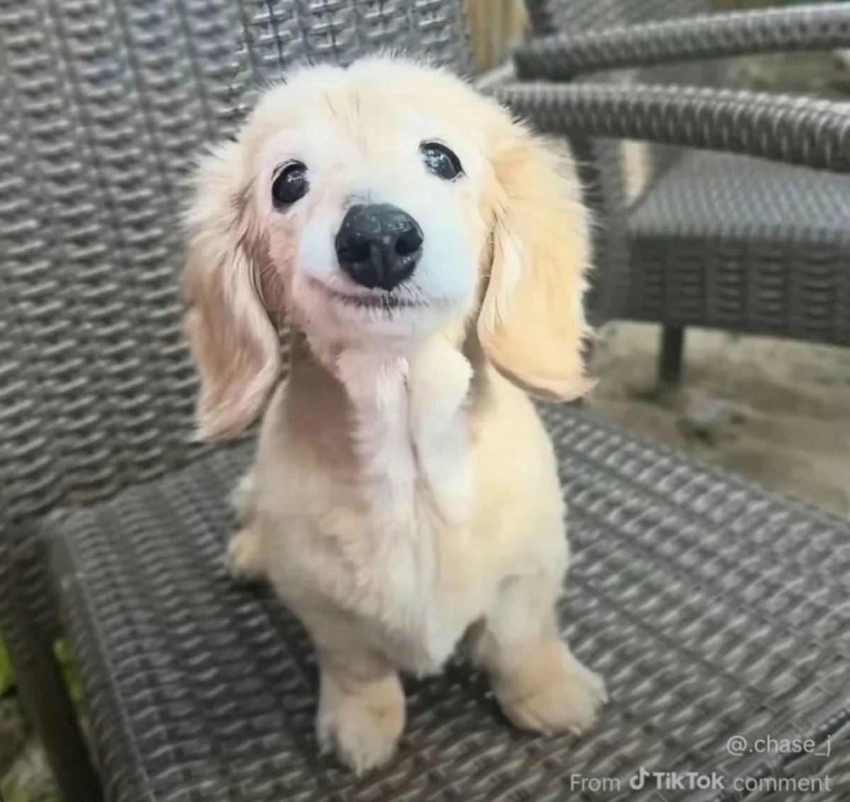 ᴋᴏᴢʏ tweet media