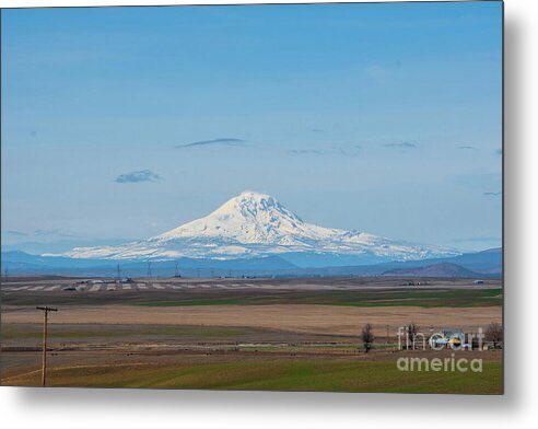 DMSharptonArt tweet media