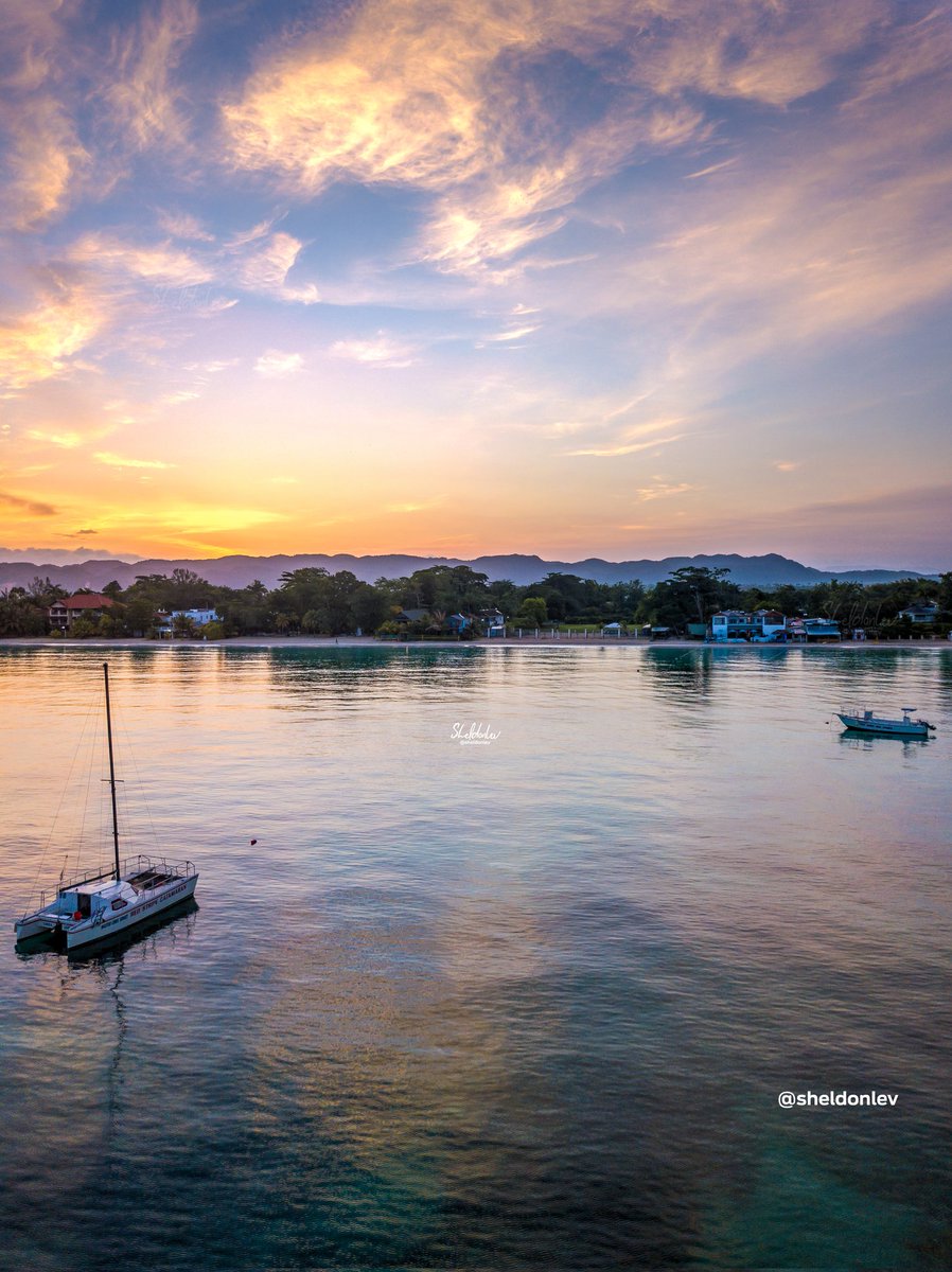 Sheldon Levene tweet media