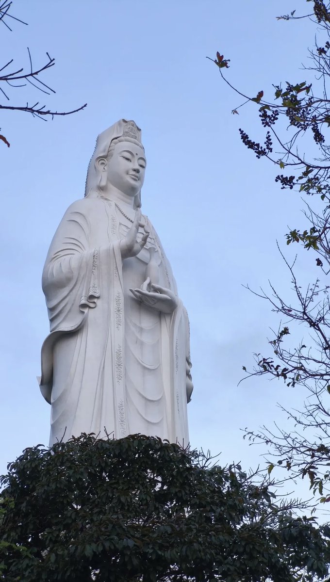 小宝ᯅ̈ tweet media