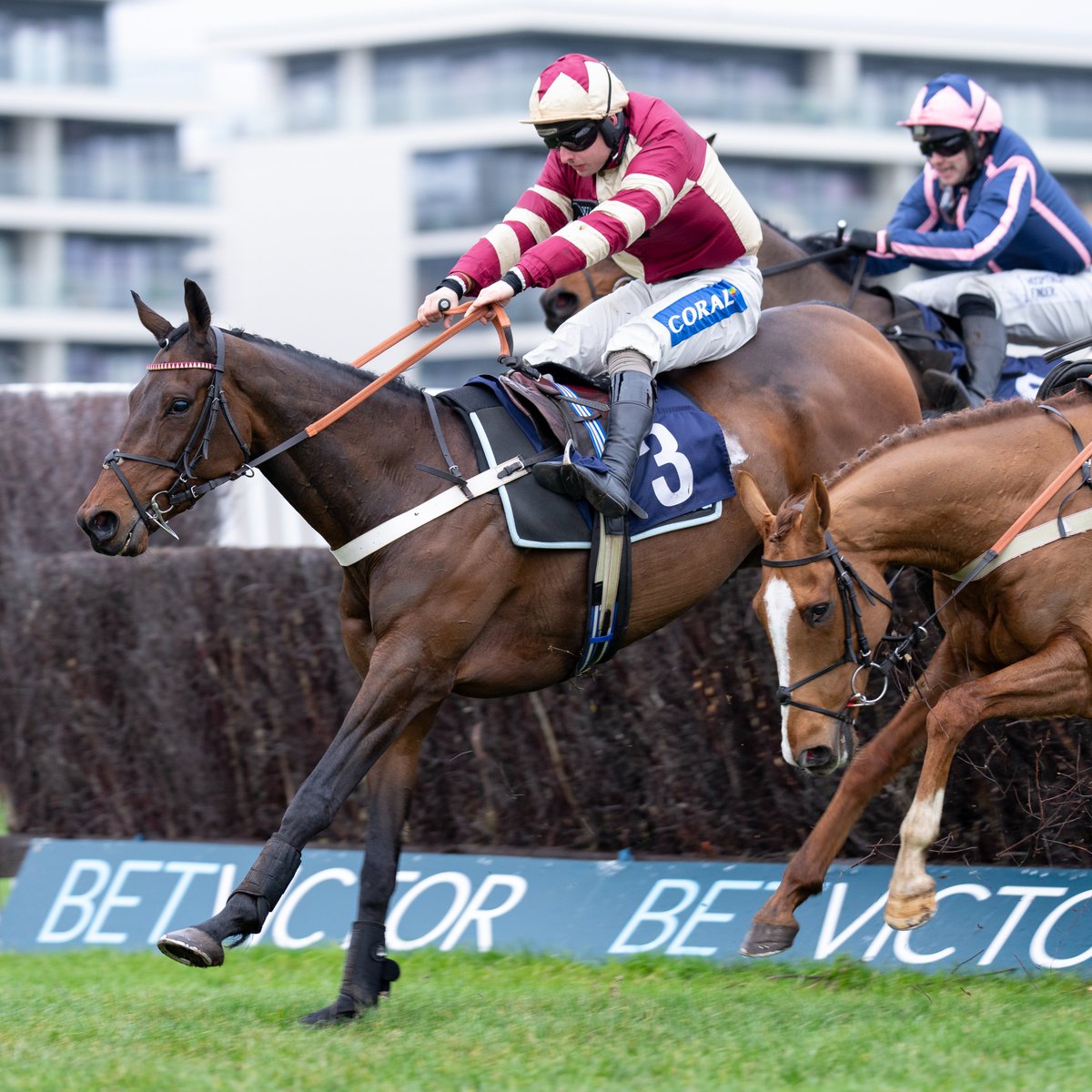 RacingPost's tweet photo. MIGHTY BANDIT wins the Virgin Bet Supports Safe Gambling Handicap Chase at Doncaster 👏 https://t.co/MHr1DSFMdx