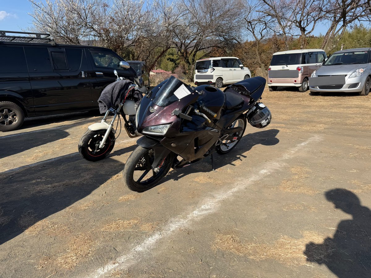 梅林見に行った時に撮ったやつ 遠目で見て色変えのninja？でもサイズが