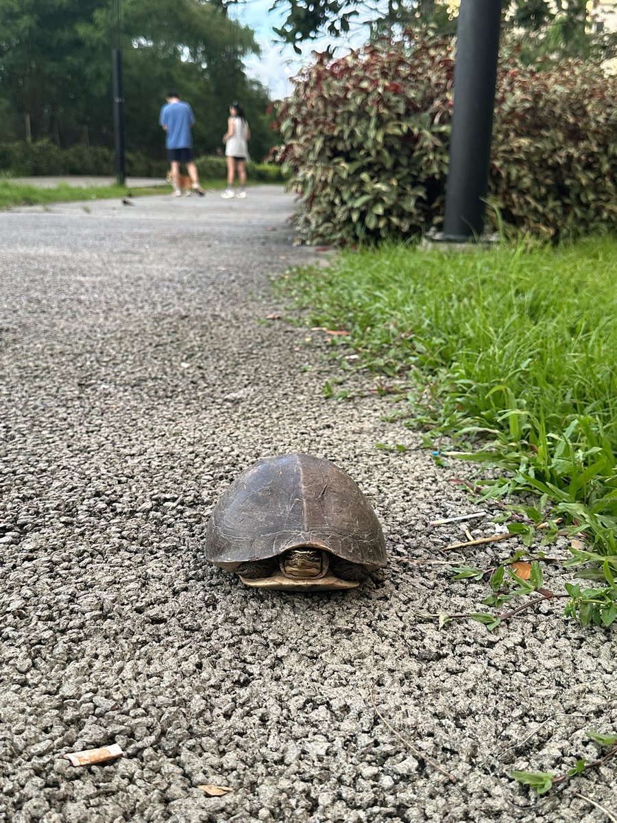 Randy Ady tweet media