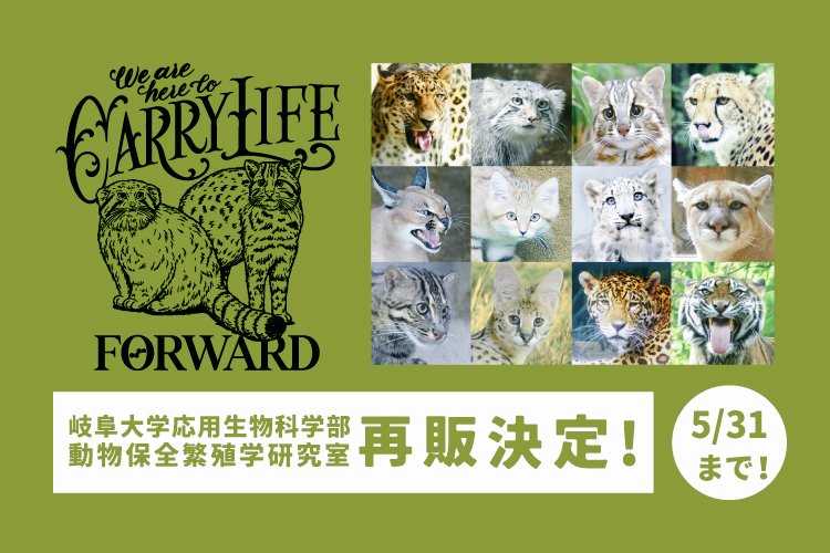 動物繁殖研 tweet media