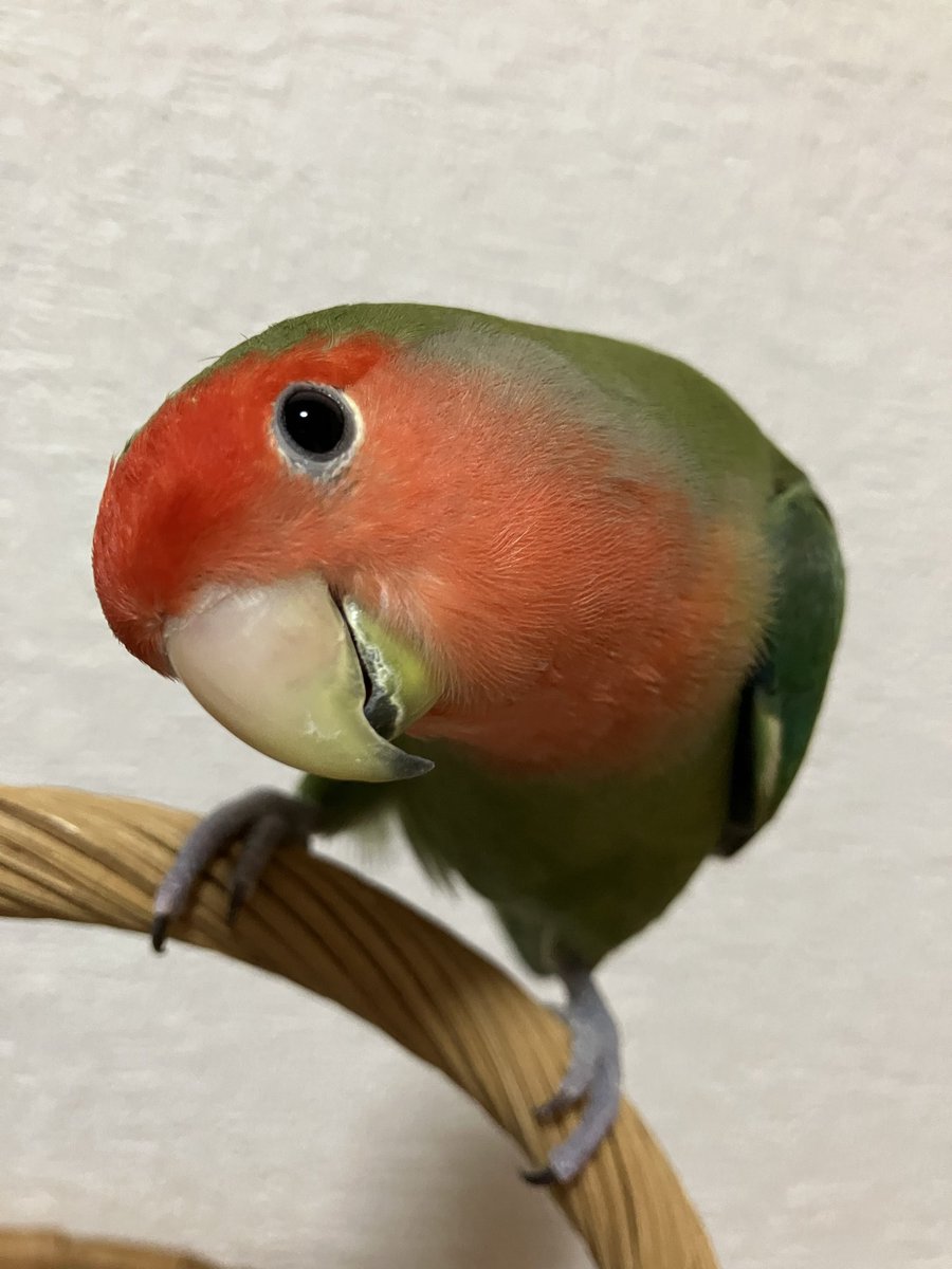 #この顔がぁ〜すっきぃー